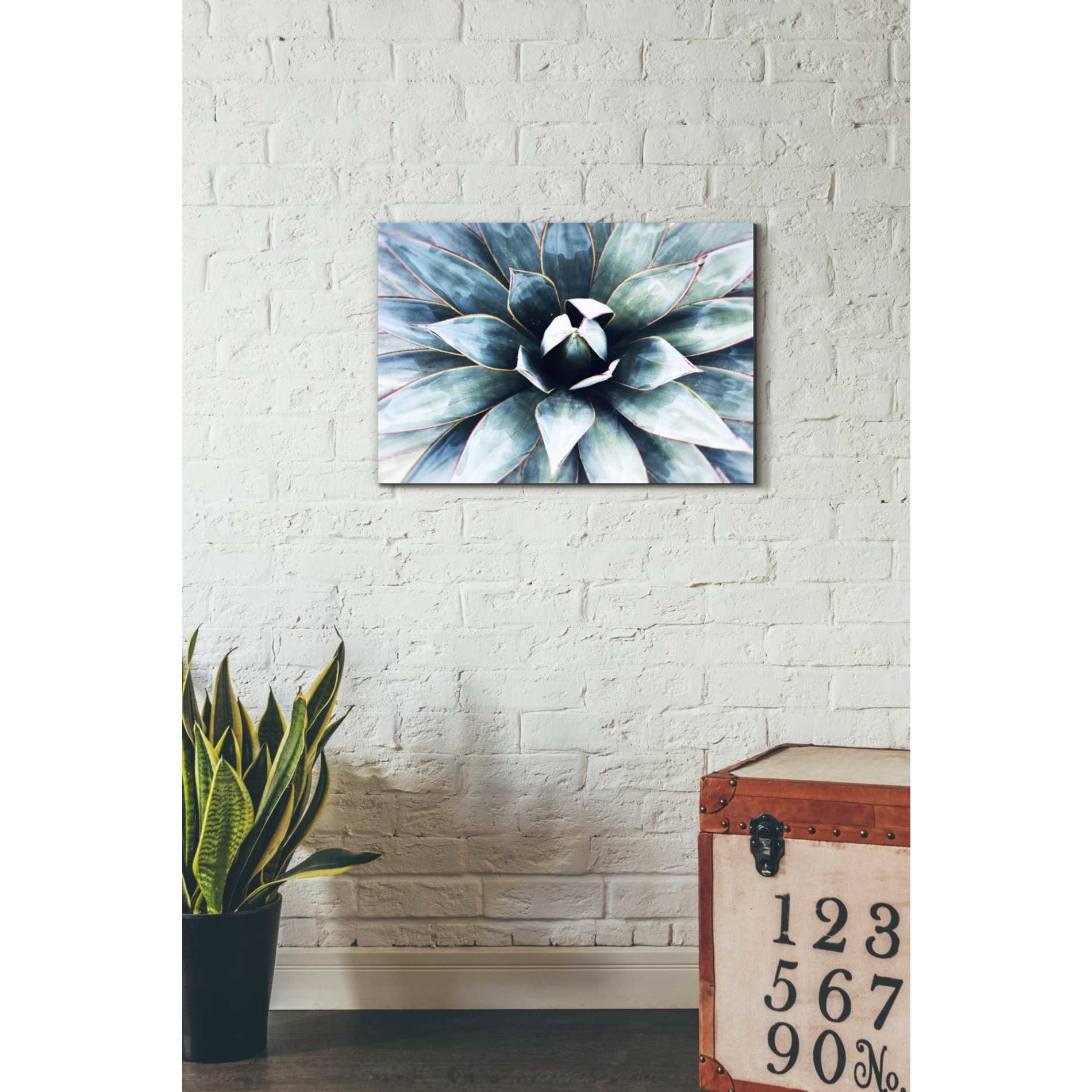 'Tropical Star' by Irena Orlov, Canvas Wall Art,26 x 18