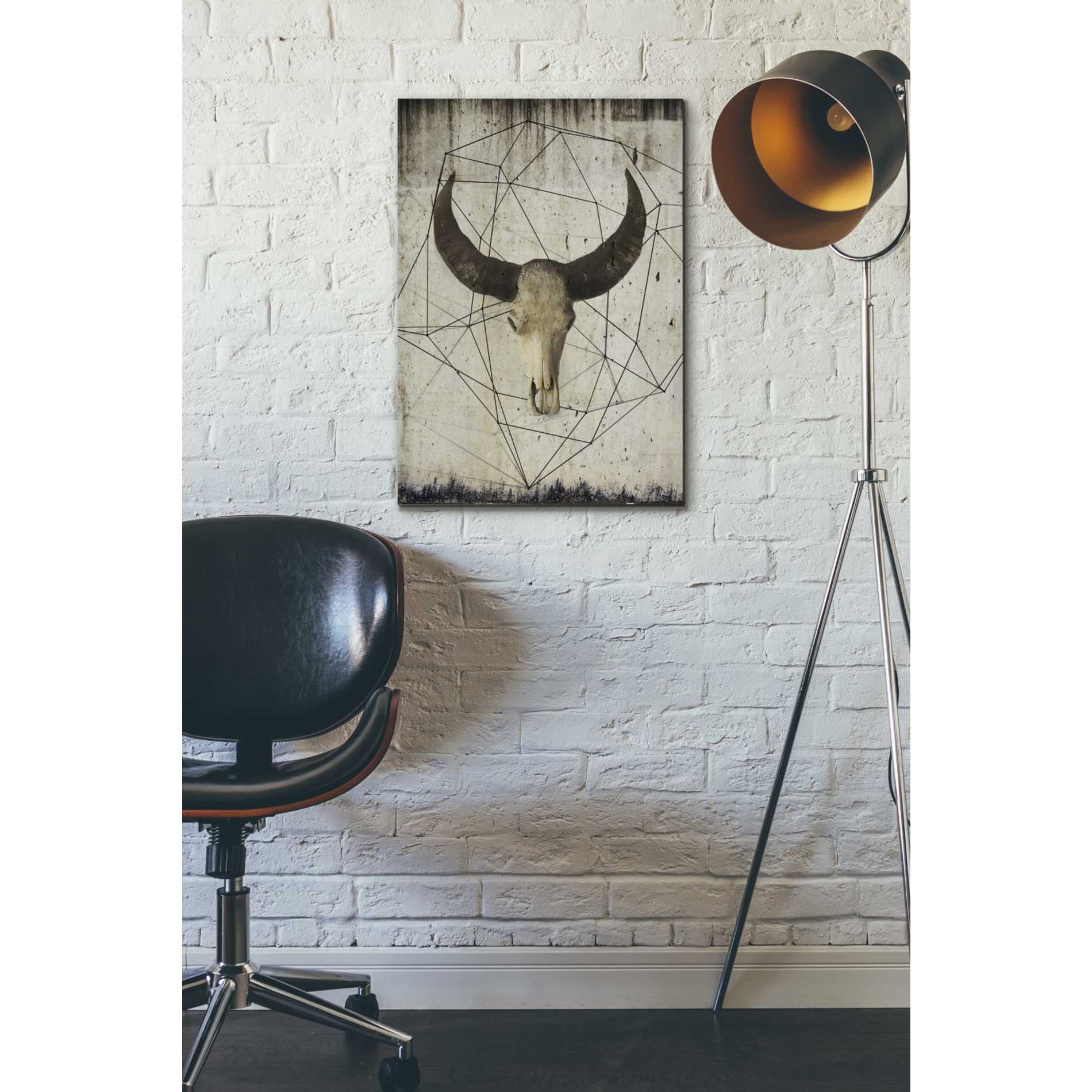 'Buffalo Skull' by Irena Orlov, Canvas Wall Art,18 x 26