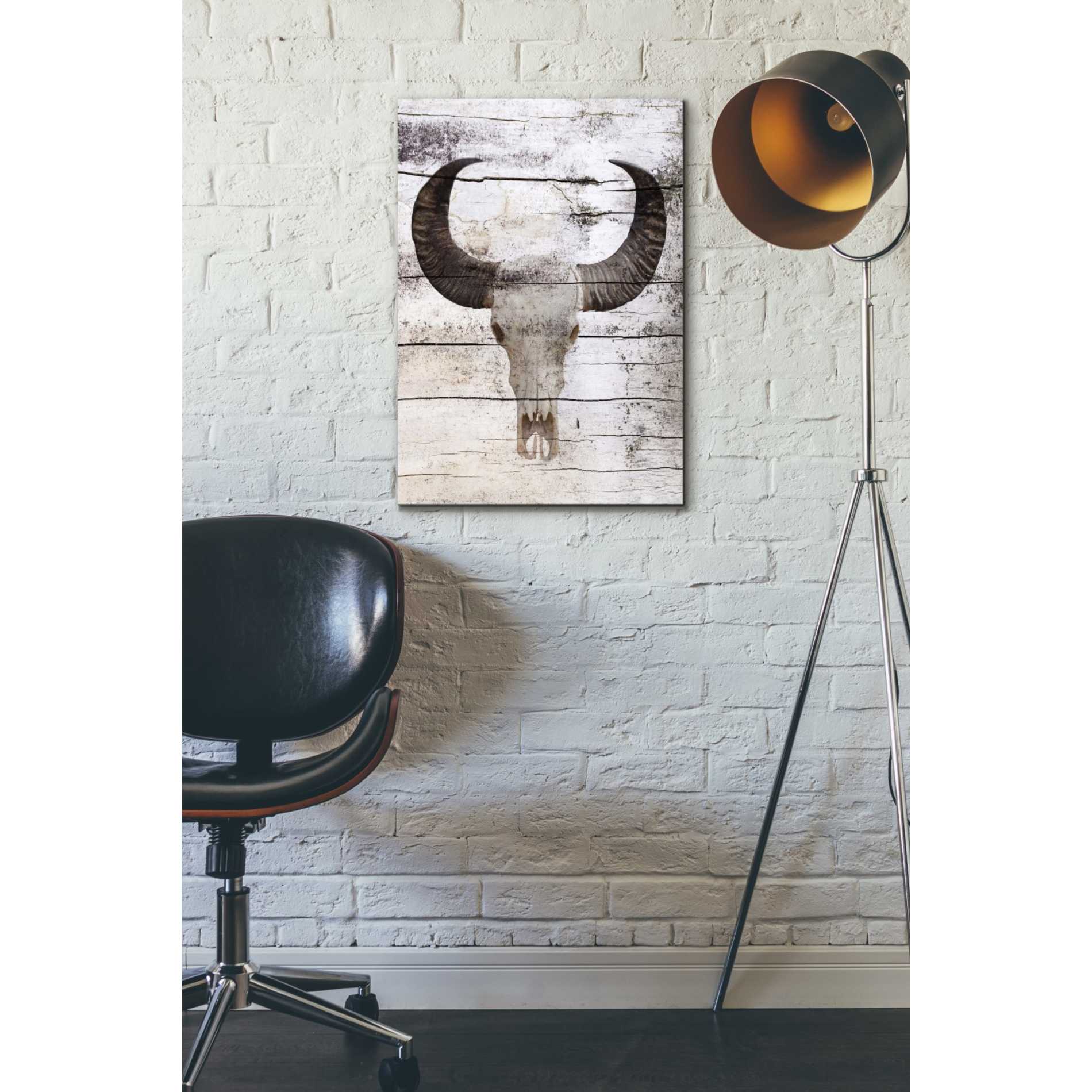 'Bullock Skull' by Irena Orlov, Canvas Wall Art,18 x 26