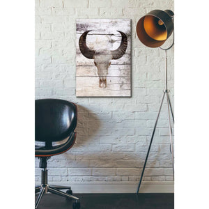 'Bullock Skull' by Irena Orlov, Canvas Wall Art,18 x 26