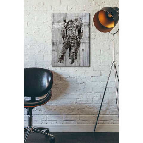 Image of 'ELEPHANT Portrait' by Irena Orlov, Canvas Wall Art,18 x 26