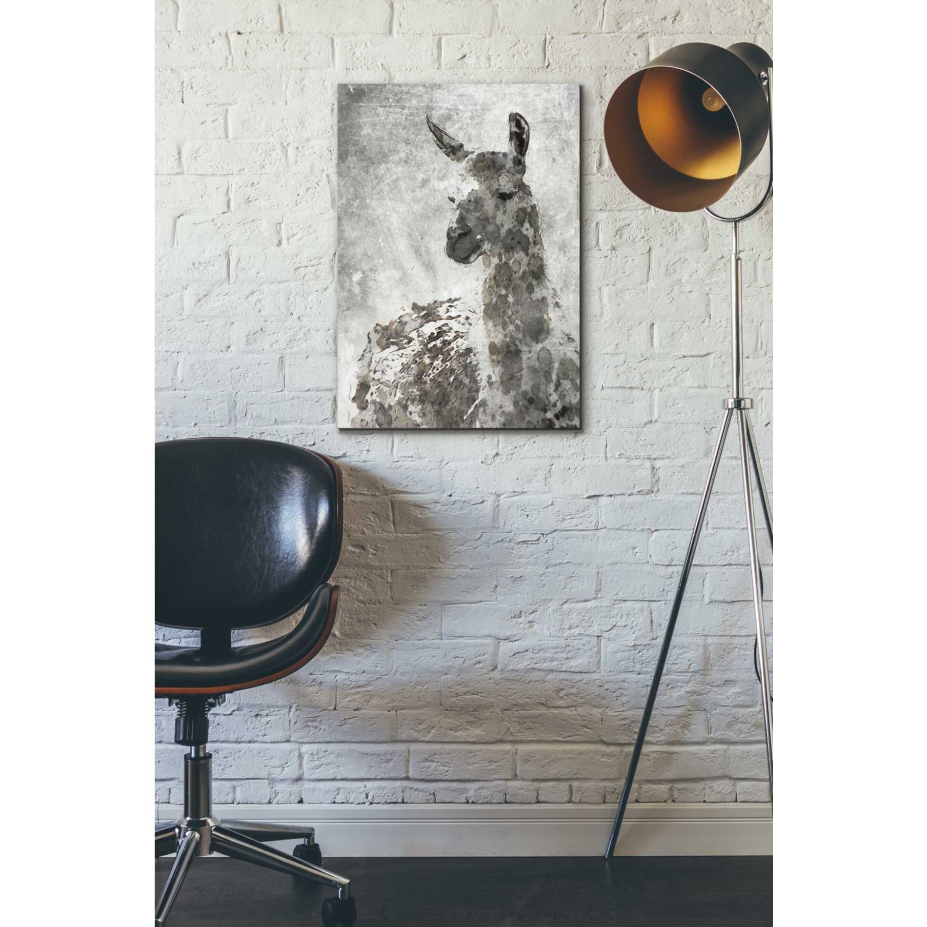 'Llama' by Irena Orlov, Canvas Wall Art,18 x 26