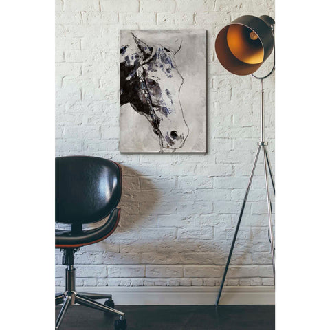 Image of 'Morgan Horse-Black Beauty' by Irena Orlov, Canvas Wall Art,18 x 26