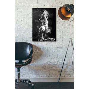 'Wild Running Horse 3' by Irena Orlov, Canvas Wall Art,18 x 26