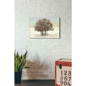 'Juncos and Oak' by Chris Vest, Giclee Canvas Wall Art