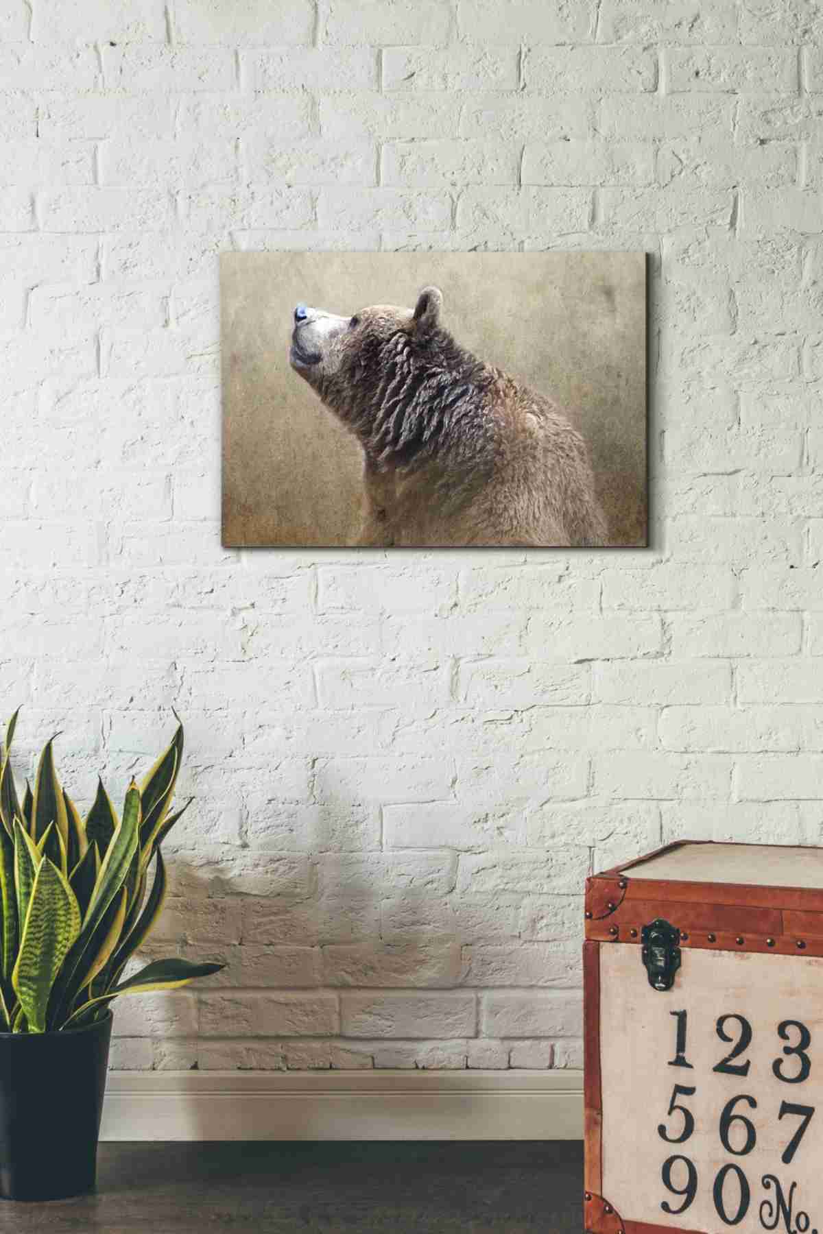 'Big Bear' by Karen Smith, Canvas Wall Art,26x18