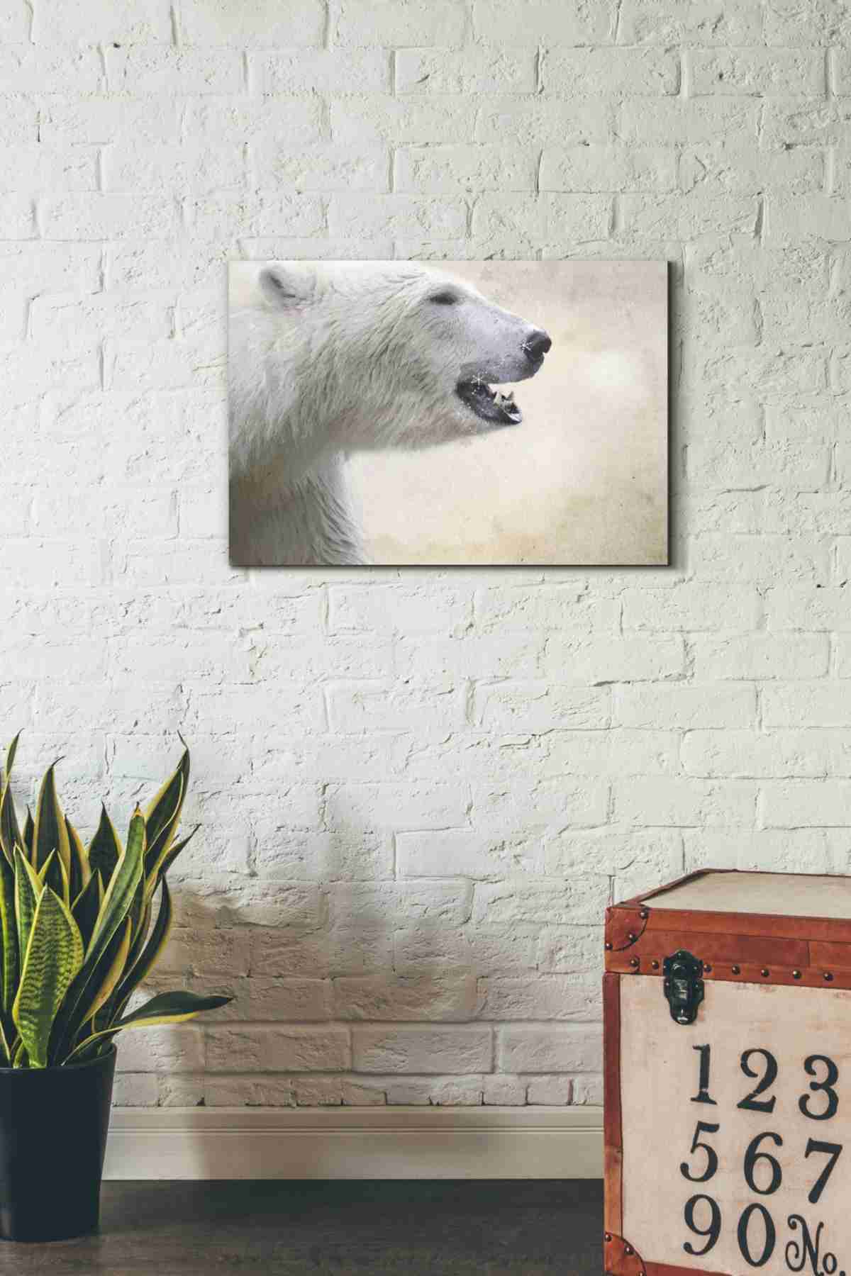 'Polar' by Karen Smith, Canvas Wall Art,26x18