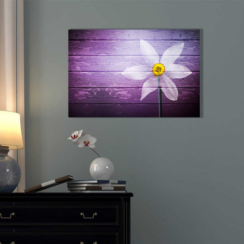Image of 'Wood Series: A Simple Paradise' Canvas Wall Art,18 x 26
