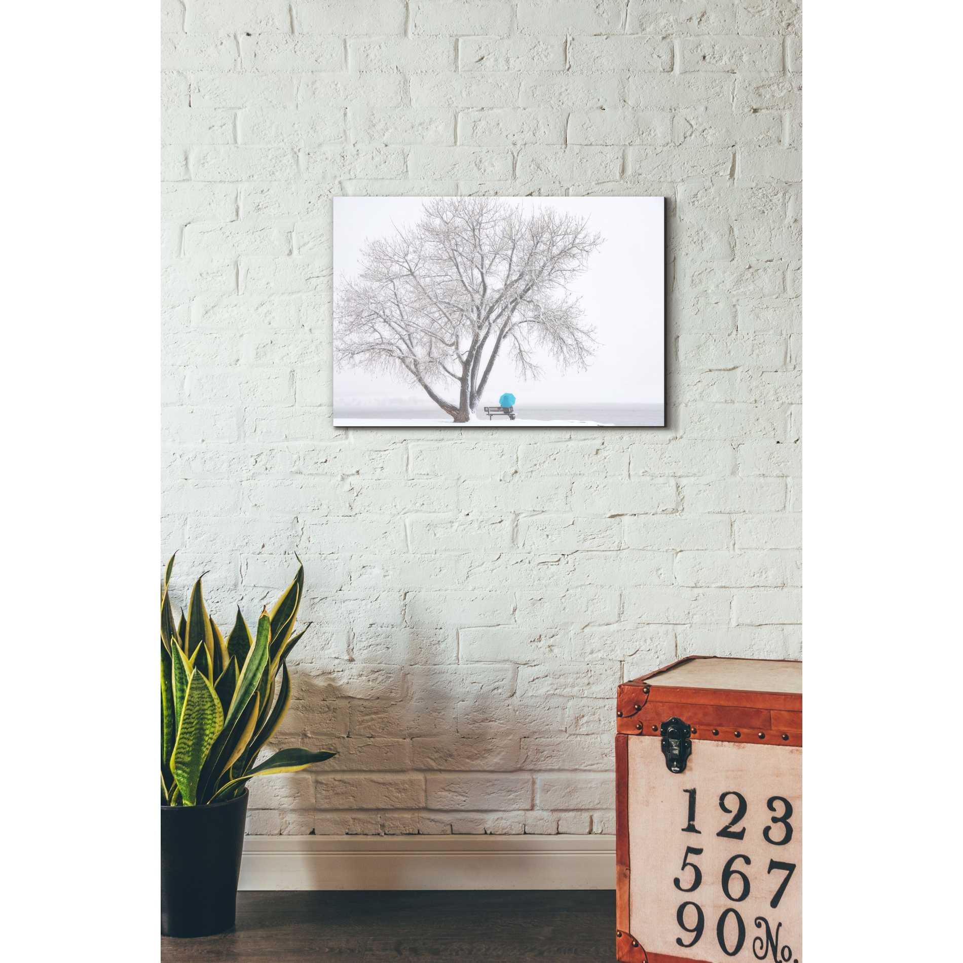 'Another Winter Alone' by Darren White, Canvas Wall Art,18 x 26