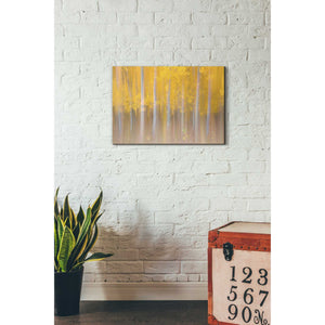 'Changing Seasons' by Darren White, Canvas Wall Art,18 x 26