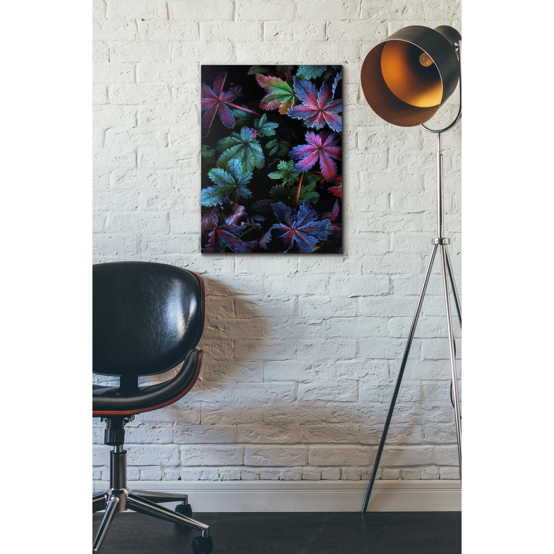 'Frosty Fall' by Darren White, Canvas Wall Art,18 x 26