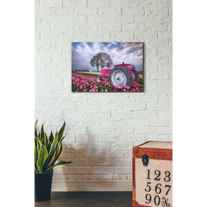 'Jane Deere' by Darren White, Canvas Wall Art,18 x 26