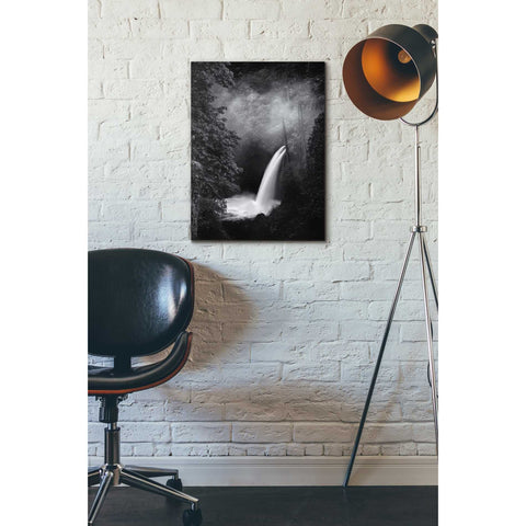 Image of 'Metlako Falls' by Darren White, Canvas Wall Art,18 x 26