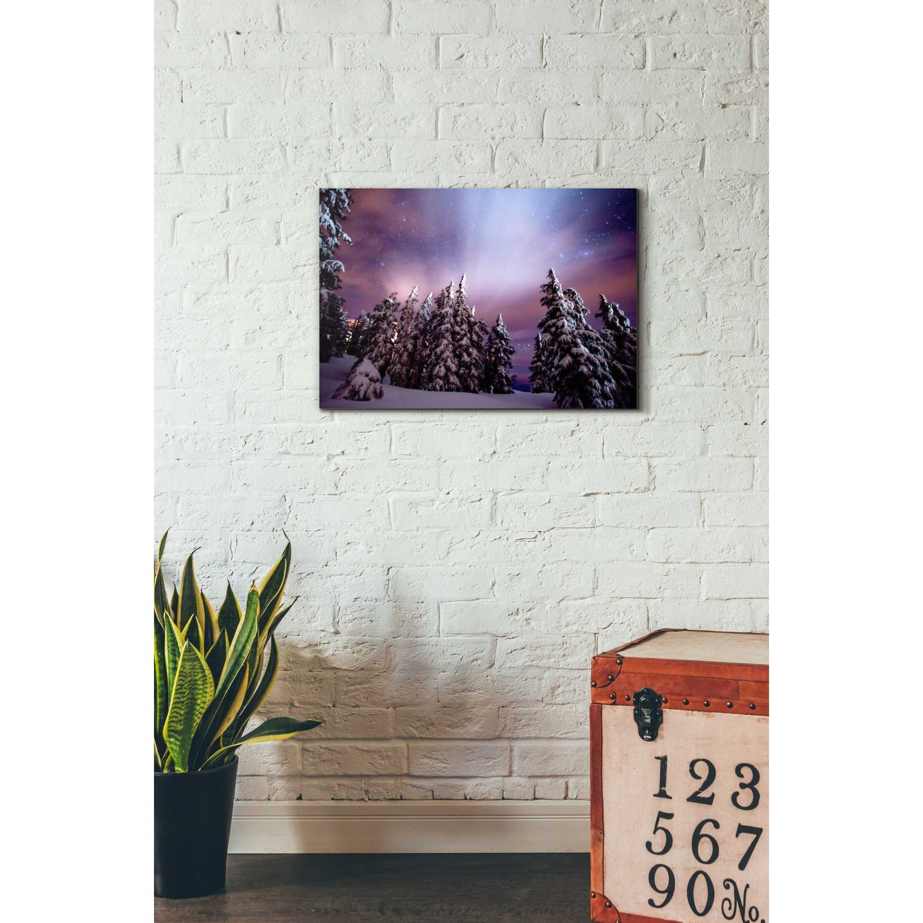 'Winter Nights' by Darren White, Canvas Wall Art,18 x 26
