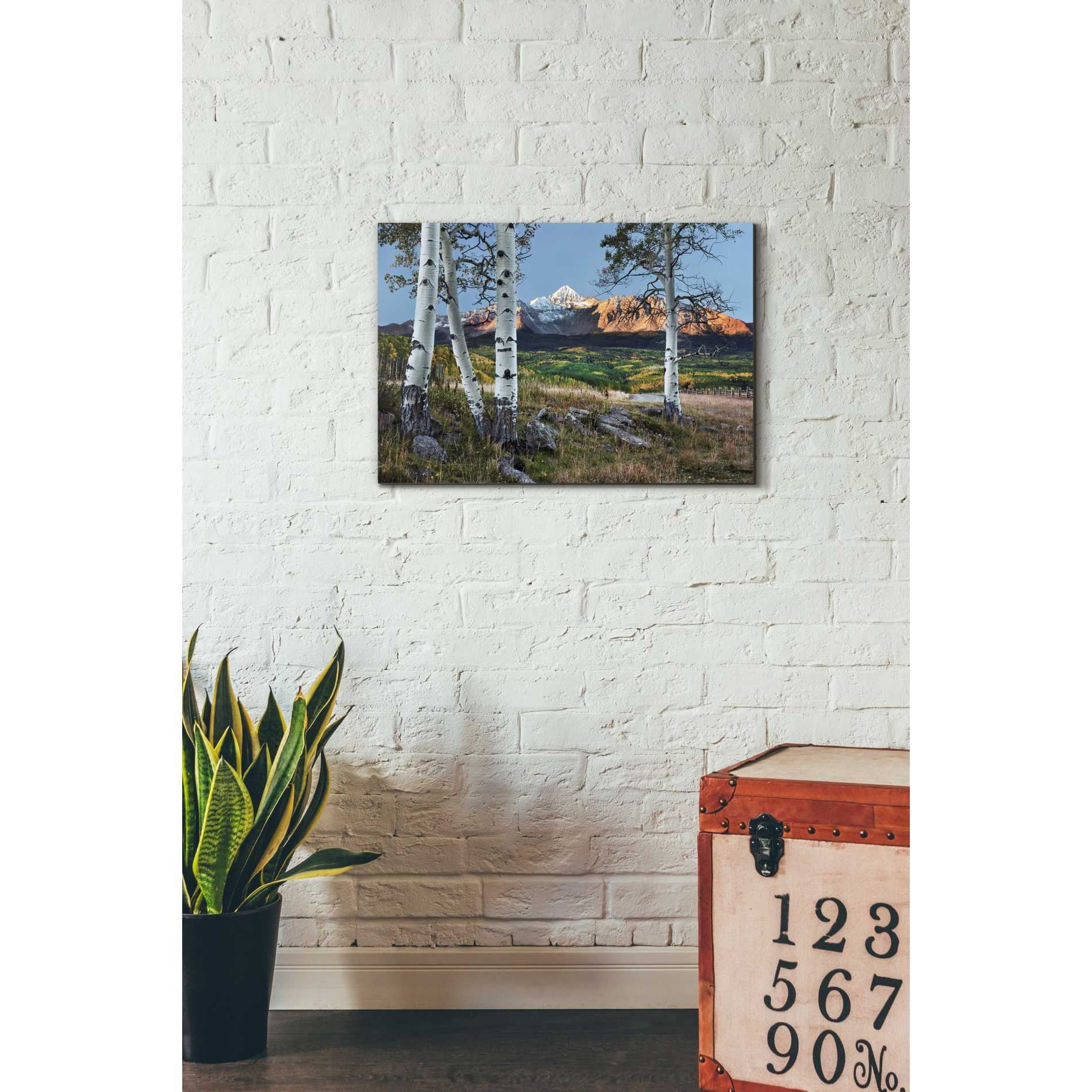 'Wilson Peak,' Canvas Wall Art,18 x 26