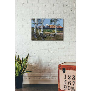 'Wilson Peak,' Canvas Wall Art,18 x 26