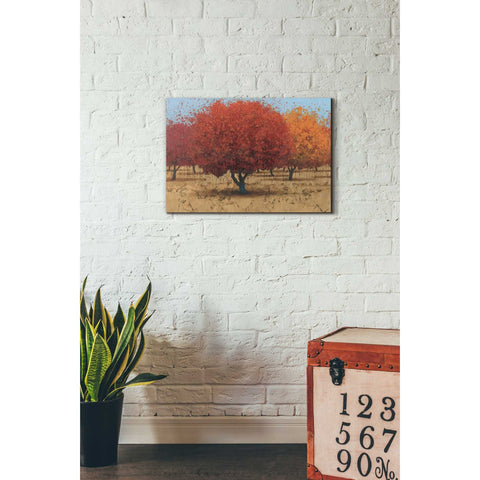 Image of 'Orange Trees II' by James Wiens, Canvas Wall Art,18 x 26