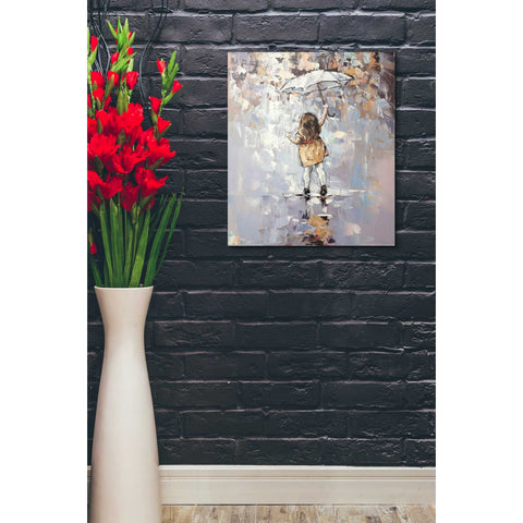 Image of 'Letting Up' by Alexander Gunin, Canvas Wall Art,20 x 24