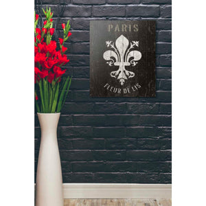 'Refurbished Fleur-de-lis' by Wild Apple Portfolio, Canvas Wall Art,20 x 24