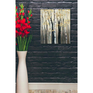 'Golden Birch I' by Marilyn Hageman, Canvas Wall Art,20 x 24