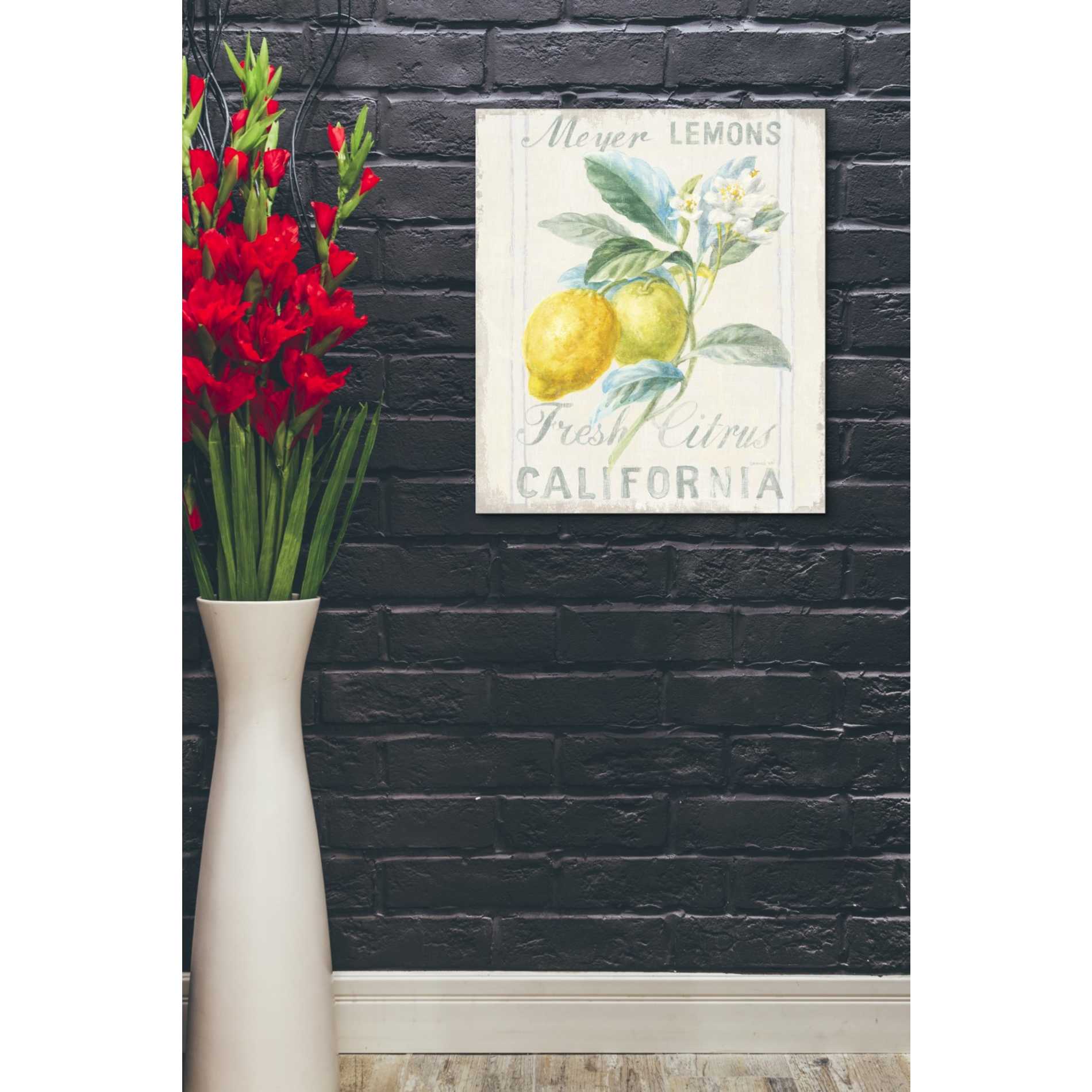 'Floursack Lemon II' by Danhui Nai, Canvas Wall Art,20 x 24