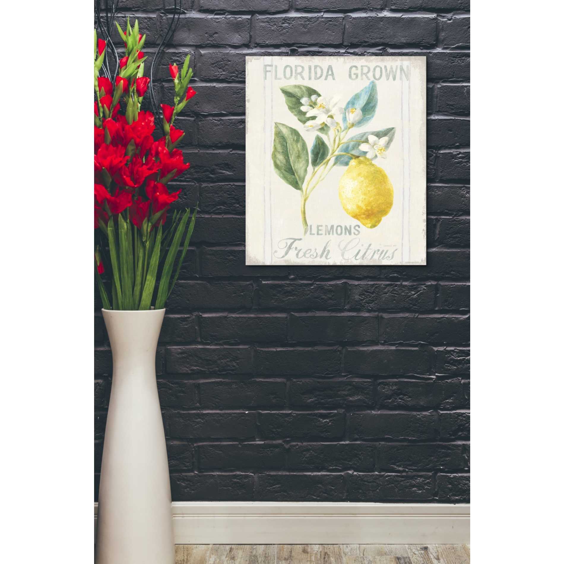 'Floursack Lemon I' by Danhui Nai, Canvas Wall Art,20 x 24