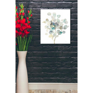 'Eucalyptus III White' by Danhui Nai, Canvas Wall Art,20 x 24