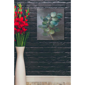 'Fresh I' by Danhui Nai, Canvas Wall Art,20 x 24