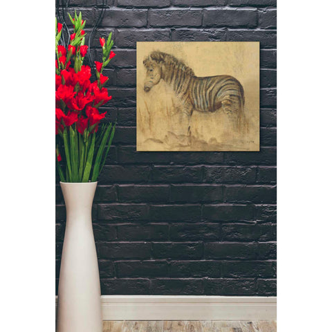 Image of 'Global Zebra Light Crop' by Cheri Blum, Canvas Wall Art,20 x 24