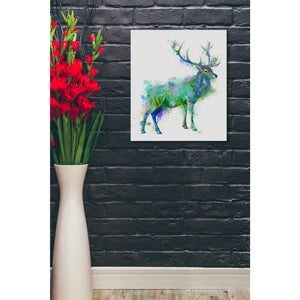 'Deer 1 Rainbow Splash Green Blue' by Fab Funky Canvas Wall Art,20 x 24