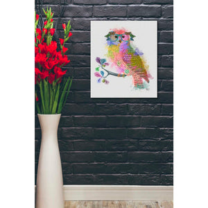 'Rainbow Splash Owl' by Fab Funky Giclee Canvas Wall Art