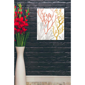 'Desert Coral I' by Grace Popp Canvas Wall Art,20 x 24