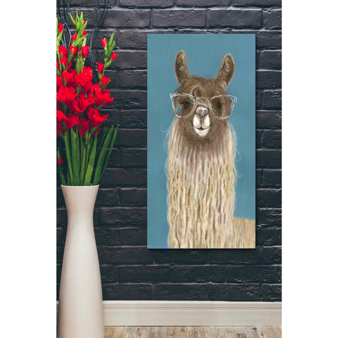 Image of 'Llama Specs IV' by Victoria Borges Canvas Wall Art,20 x 24