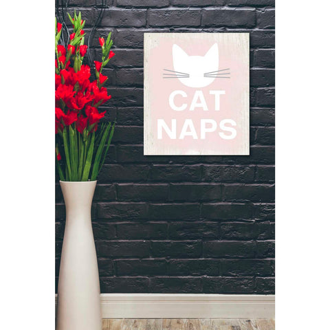 Image of 'Cat Naps' by Linda Woods, Canvas Wall Art,20 x 24