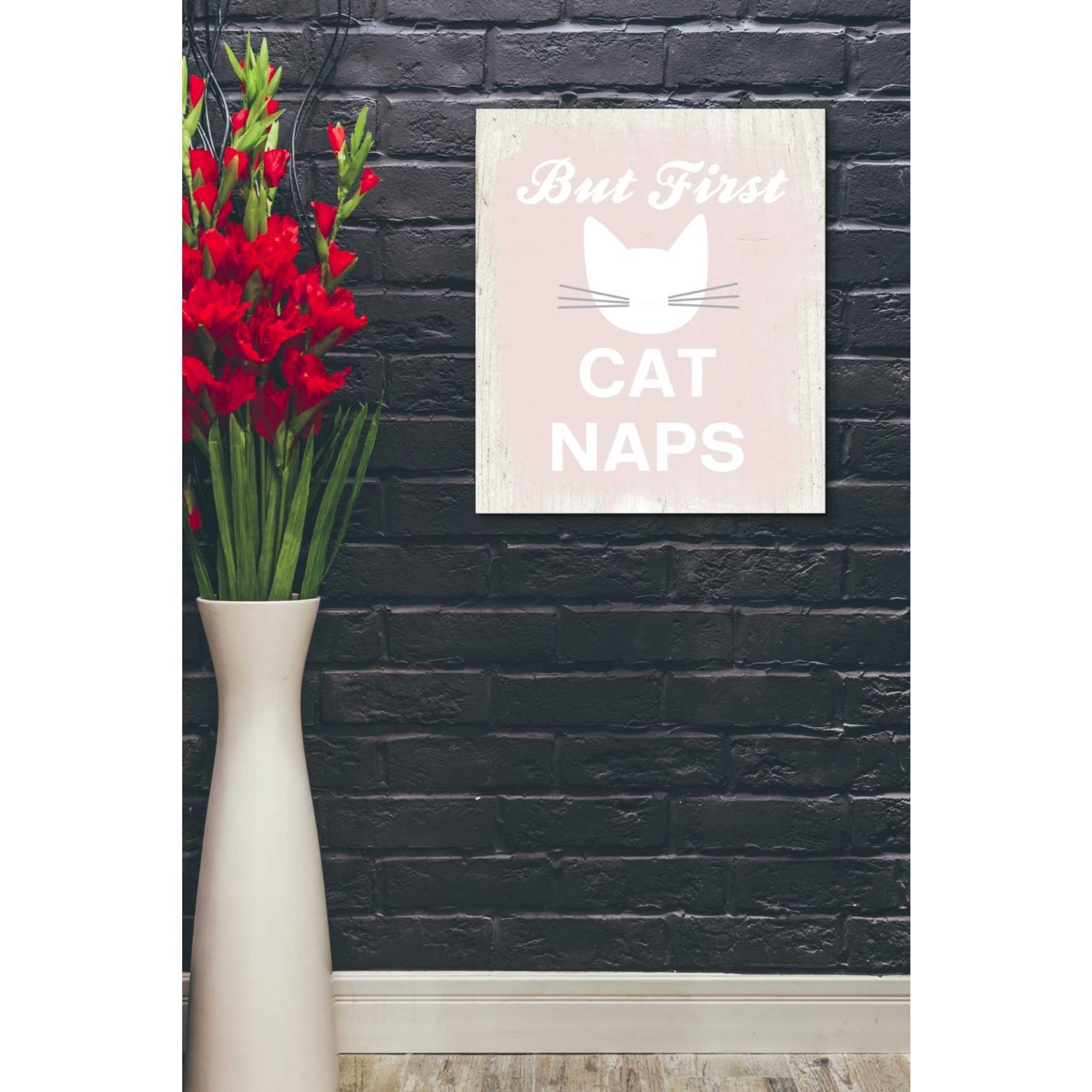 'But First Cat Naps' by Linda Woods, Canvas Wall Art,20 x 24