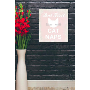 'But First Cat Naps' by Linda Woods, Canvas Wall Art,20 x 24