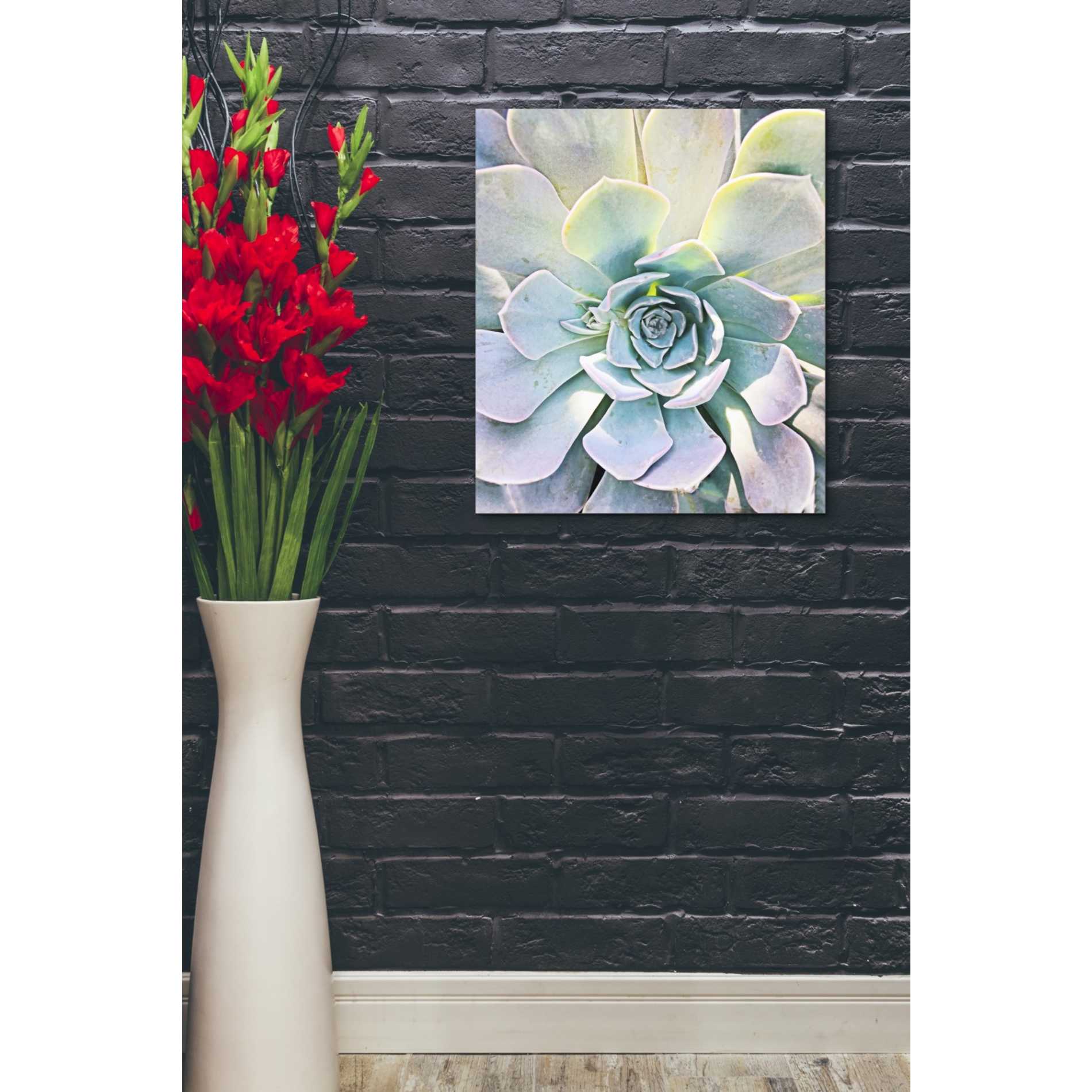 'Unique Succulent' by Irena Orlov, Canvas Wall Art,20 x 24