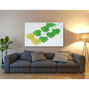 'Katura' by Zigen Tanabe, Giclee Canvas Wall Art
