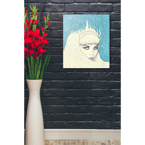 'Space Queen Ice' by Craig Snodgrass, Canvas Wall Art,20 x 24