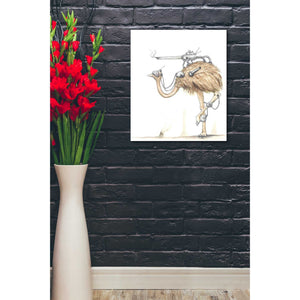 'War Emu' by Craig Snodgrass, Canvas Wall Art,20 x 24