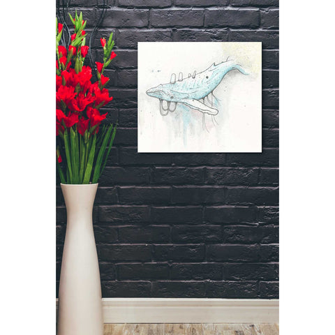 Image of 'Whale' by Craig Snodgrass, Canvas Wall Art,20 x 24