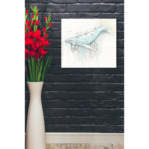 'Whale' by Craig Snodgrass, Canvas Wall Art,20 x 24