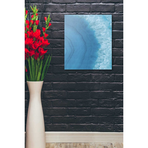 Image of 'Agate Geode II' by Wild Apple Portfolio, Canvas Wall Art,20 x 24