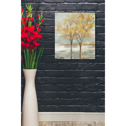 Image of 'Golden Tree and Fog II' by Silvia Vassileva, Canvas Wall Art,20 x 24