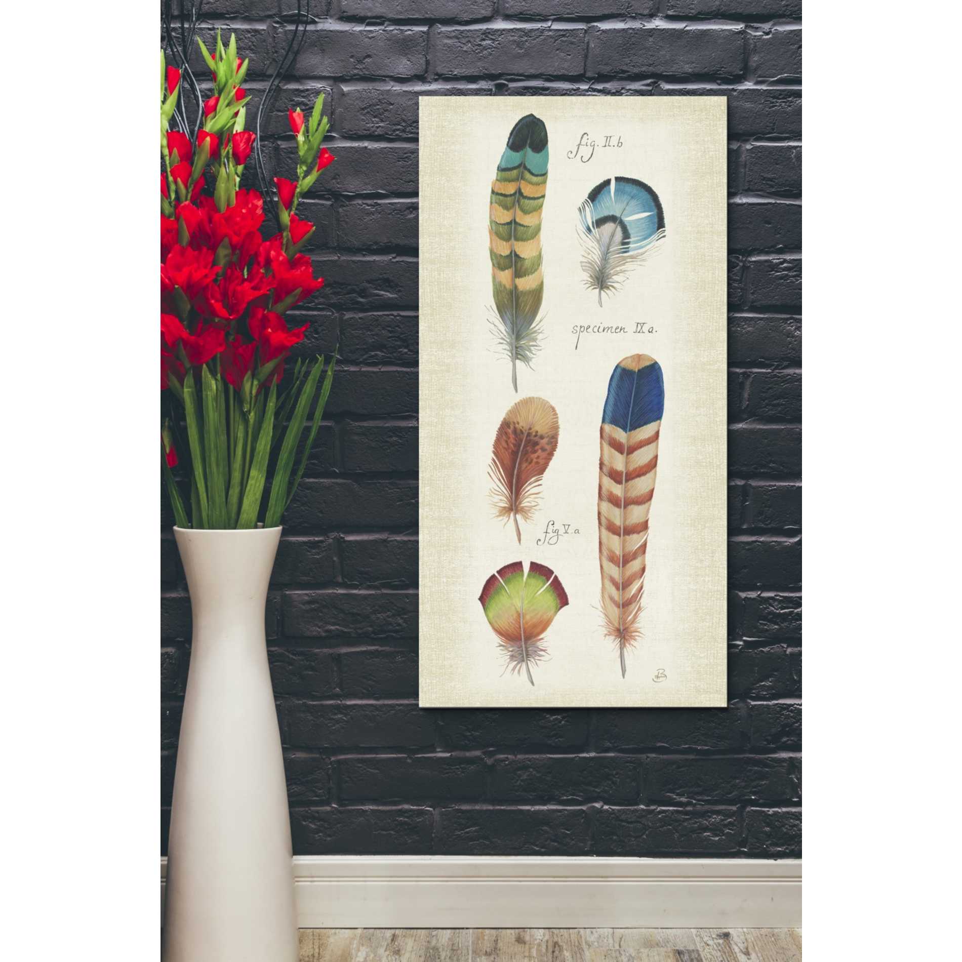 'Ornithology III Panel' by Daphne Brissonet, Canvas Wall Art,20 x 40