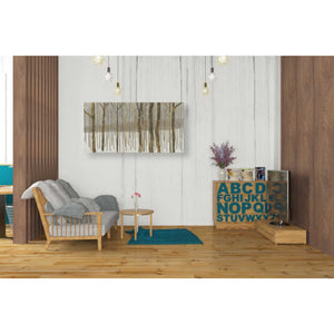 'Woods in Winter Gold' by Kathrine Lovell, Canvas Wall Art,40 x 20
