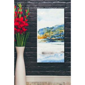 'Island Mist I' by Tim O'Toole Canvas Wall Art,20 x 40