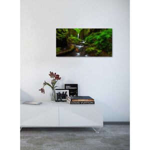 'Early Morning At The Grotto' by Darren White, Canvas Wall Art,20 x 40