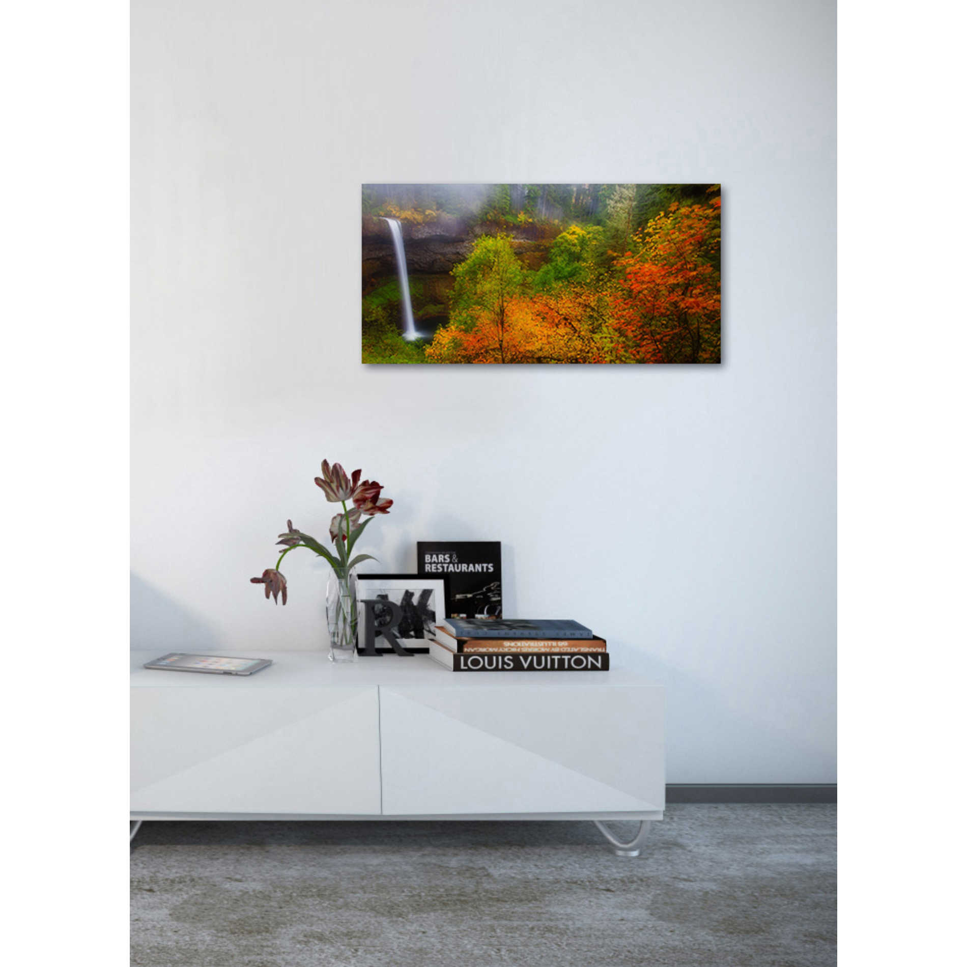 'Silver Falls' by Darren White, Canvas Wall Art,20 x 40