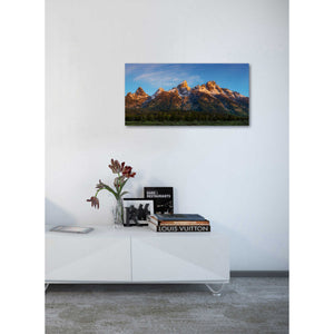 'Tetons First Light' by Darren White, Canvas Wall Art,20 x 40